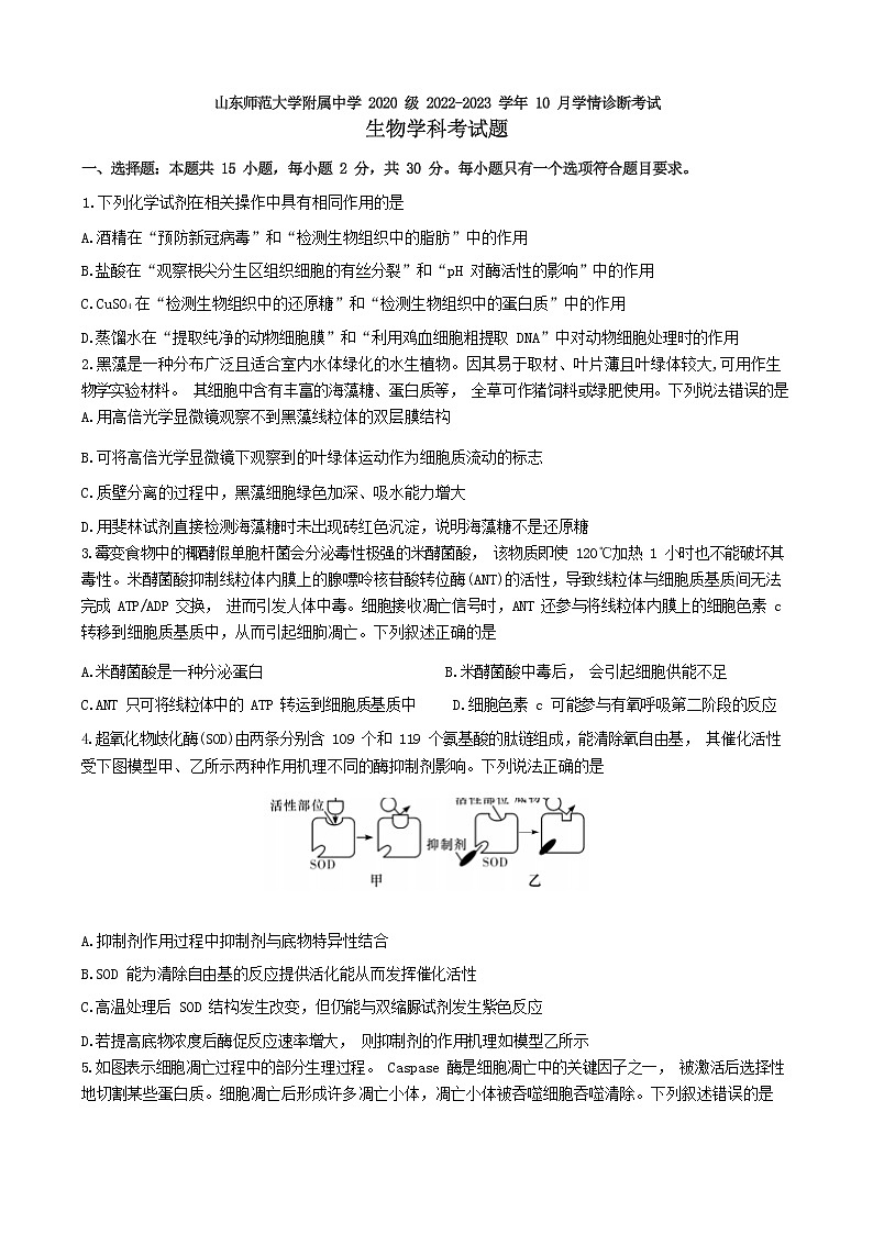山东师范大学附属中学2020 级 2022-2023 学年高三 10 月学情诊断考试  生物试题及答案01