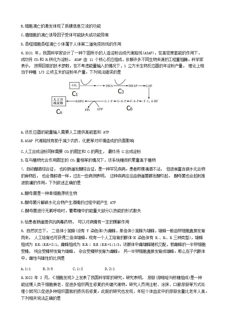 山东师范大学附属中学2020 级 2022-2023 学年高三 10 月学情诊断考试  生物试题及答案03