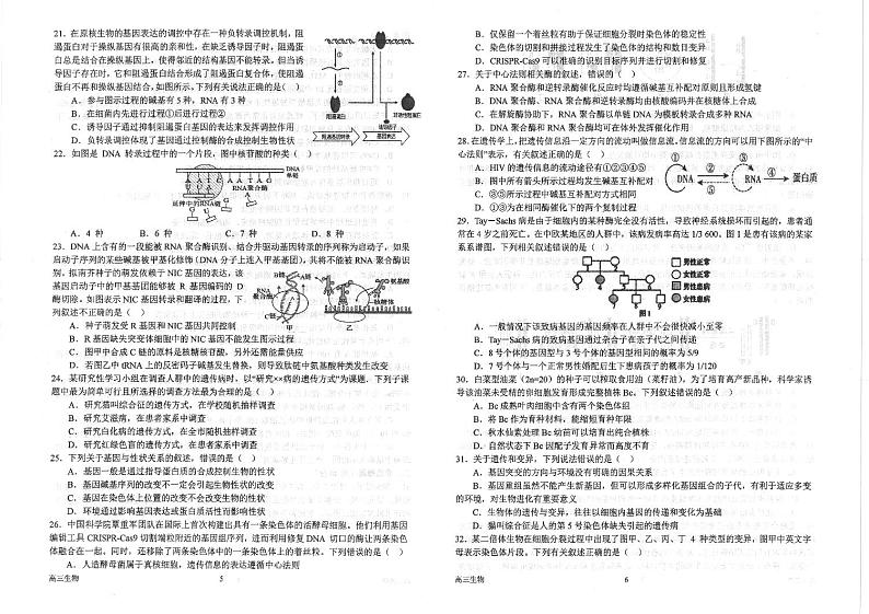 河南省南阳市第一中学校2022-2023学年上学期高三第二次月考生物试题PDF版无答案第3页