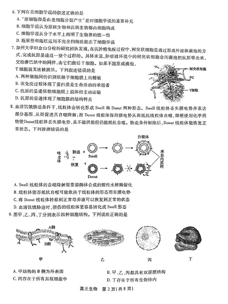 2023安徽省鼎尖名校联盟高三10月联考生物试题PDF版含答案02