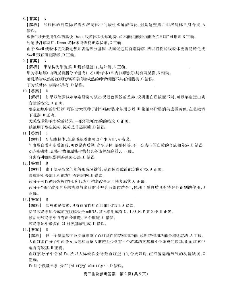 2023安徽省鼎尖名校联盟高三10月联考生物试题PDF版含答案02