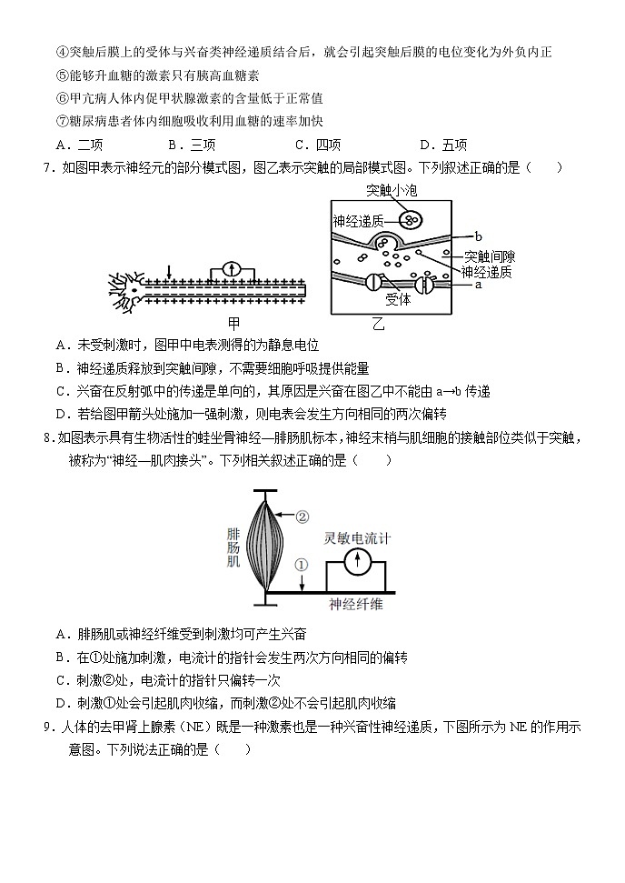 2023保定部分学校高二上学期9月考试生物试题含答案第2页