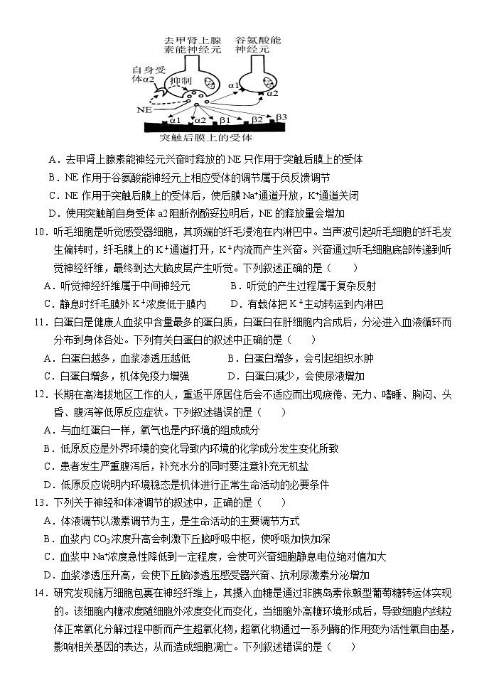 2023保定部分学校高二上学期9月考试生物试题含答案第3页