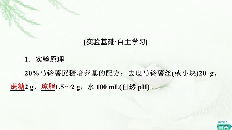 浙科版高中生物选择性必修3第1章第1节探究实践配制可用于培养酵母菌的马铃薯蔗糖培养基课件第2页