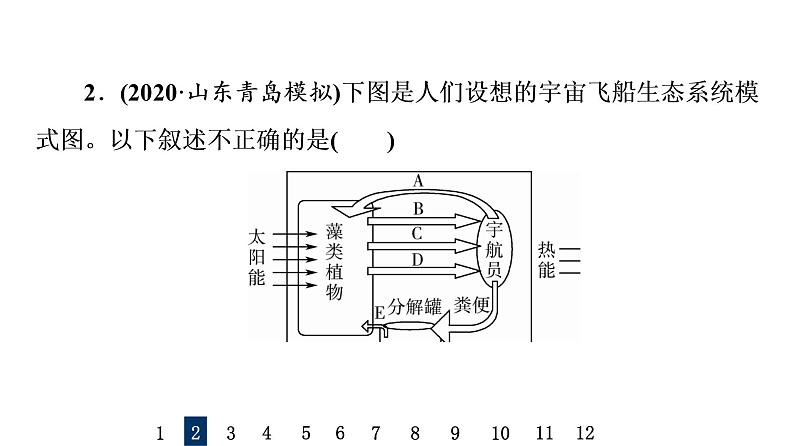 人教版高考生物一轮总复习课时质量评价30生态系统的物质循环课件05