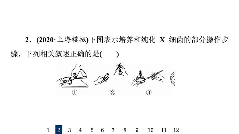 人教版高考生物一轮总复习课时质量评价34微生物的培养技术及应用课件04