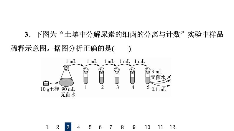 人教版高考生物一轮总复习课时质量评价34微生物的培养技术及应用课件07