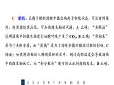 人教版高考生物一轮总复习课时质量评价33传统发酵技术的应用课件