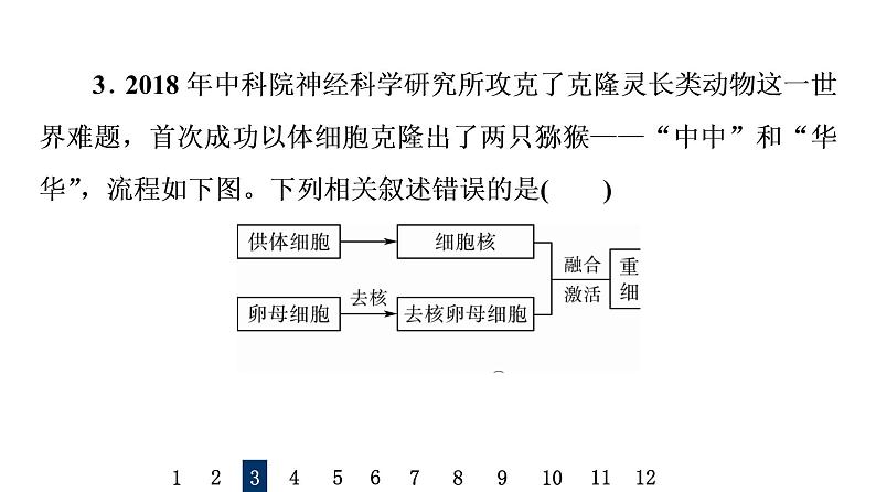 人教版高考生物一轮总复习课时质量评价36动物细胞工程课件第6页