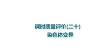 人教版高考生物一轮总复习课时质量评价20染色体变异课件