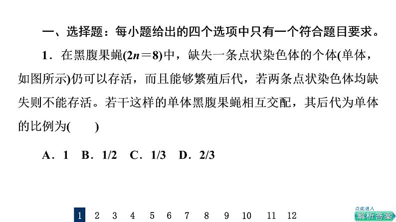 人教版高考生物一轮总复习课时质量评价20染色体变异课件第2页