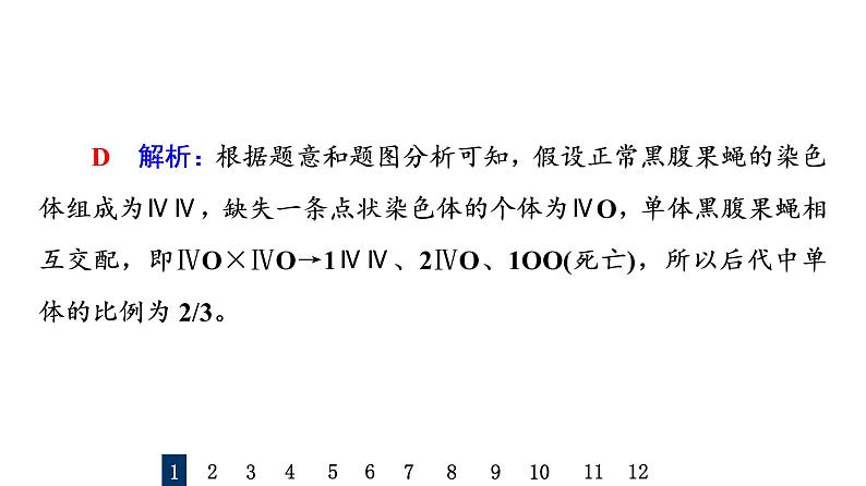 人教版高考生物一轮总复习课时质量评价20染色体变异课件第3页