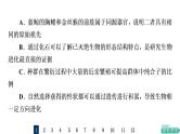 人教版高考生物一轮总复习课时质量评价21生物的进化课件