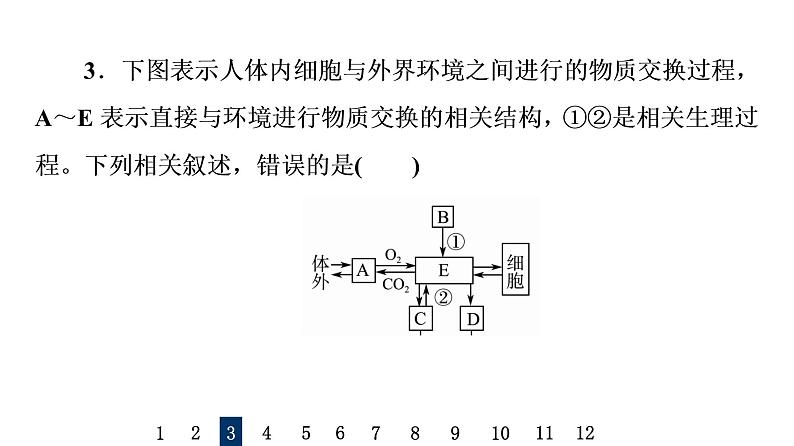 人教版高考生物一轮总复习课时质量评价22人体的内环境与稳态课件07