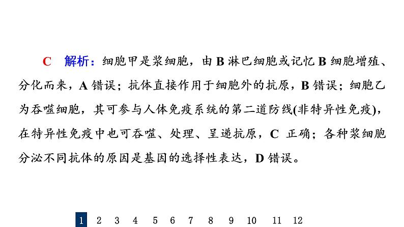 人教版高考生物一轮总复习课时质量评价25免疫调节课件第3页