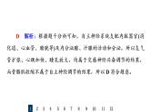 人教版高考生物一轮总复习课时质量评价23神经调节课件