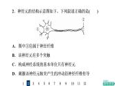人教版高考生物一轮总复习课时质量评价23神经调节课件