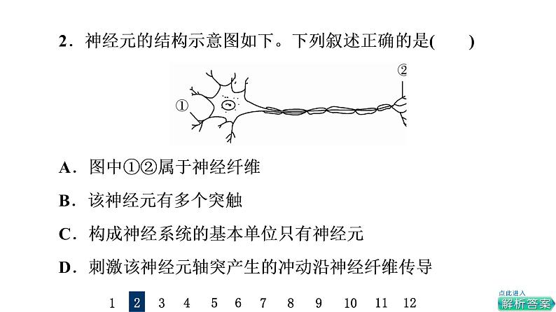 人教版高考生物一轮总复习课时质量评价23神经调节课件第4页