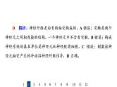 人教版高考生物一轮总复习课时质量评价23神经调节课件