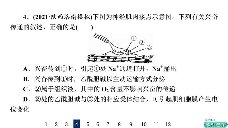 人教版高考生物一轮总复习课时质量评价23神经调节课件第8页