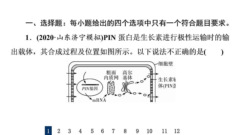 人教版高考生物一轮总复习课时质量评价26植物生命活动的调节课件02