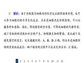 人教版高考生物一轮总复习课时质量评价2组成细胞的元素、化合物、糖类和脂质课件
