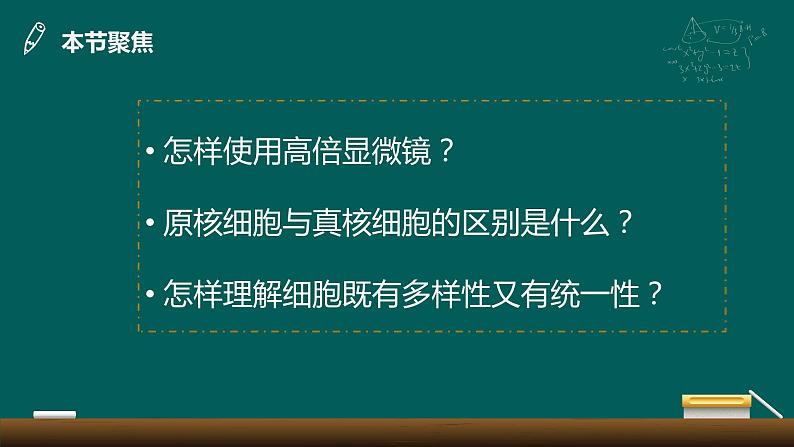 1.2 细胞多样性与统一性课件-2022-2023学年高一上学期生物人教版（2019）必修1第2页