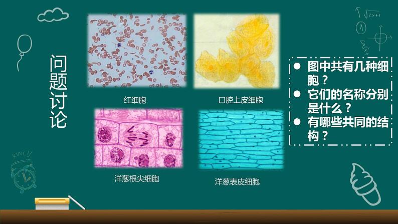 1.2 细胞多样性与统一性课件-2022-2023学年高一上学期生物人教版（2019）必修1第3页