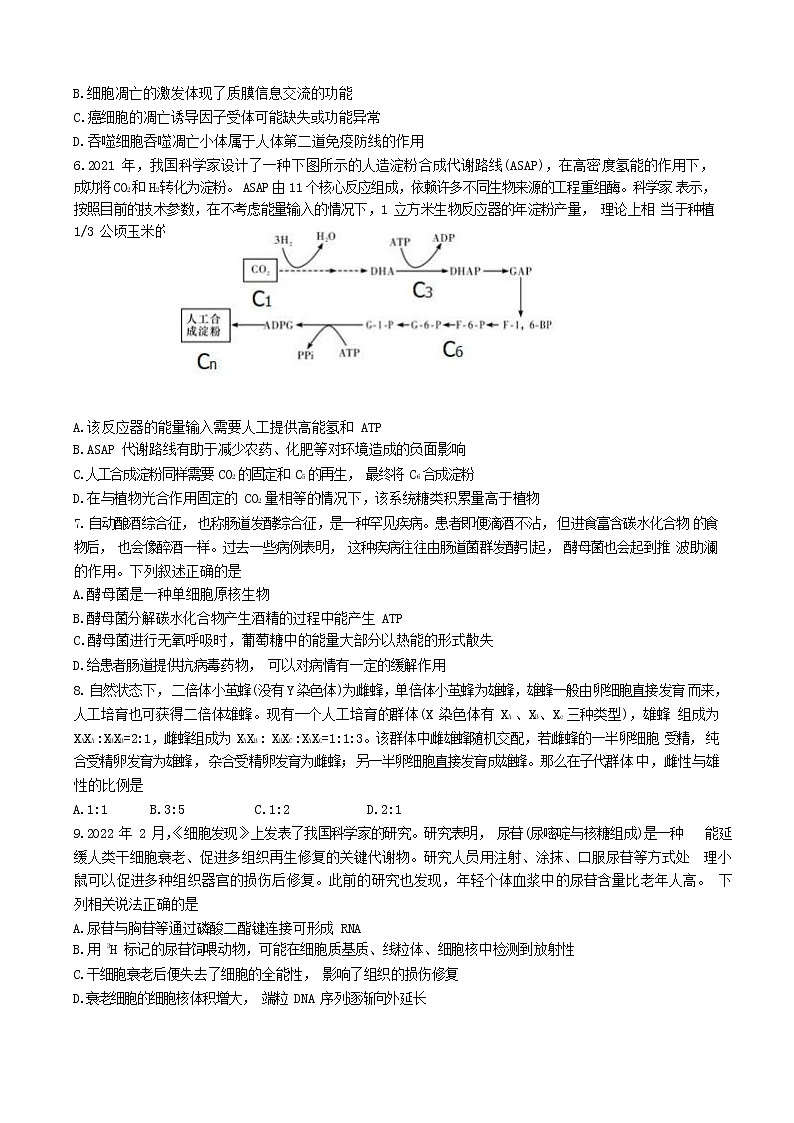 2023济南师大附中高三上学期第一次月考生物试题含答案第2页