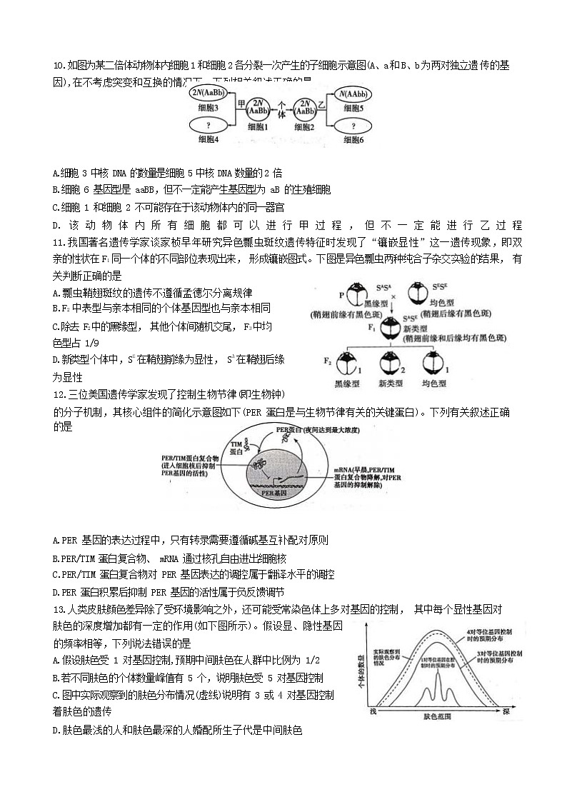 2023济南师大附中高三上学期第一次月考生物试题含答案第3页