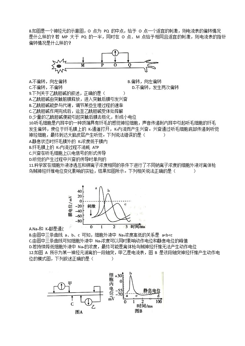 2023宁波余姚高风中学高二上学期10月月考生物试题含答案第3页