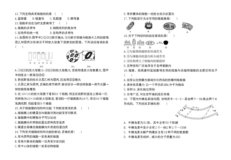 2023绍兴蕺山外国语学校高一上学期10月检测生物试题含答案02