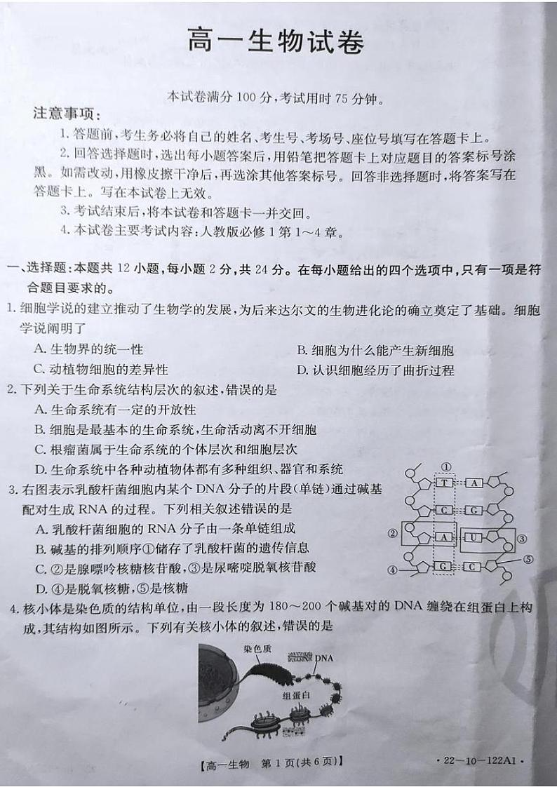 2022湖南省百所学校大联考高一上学期期中考试生物PDF版无答案第1页