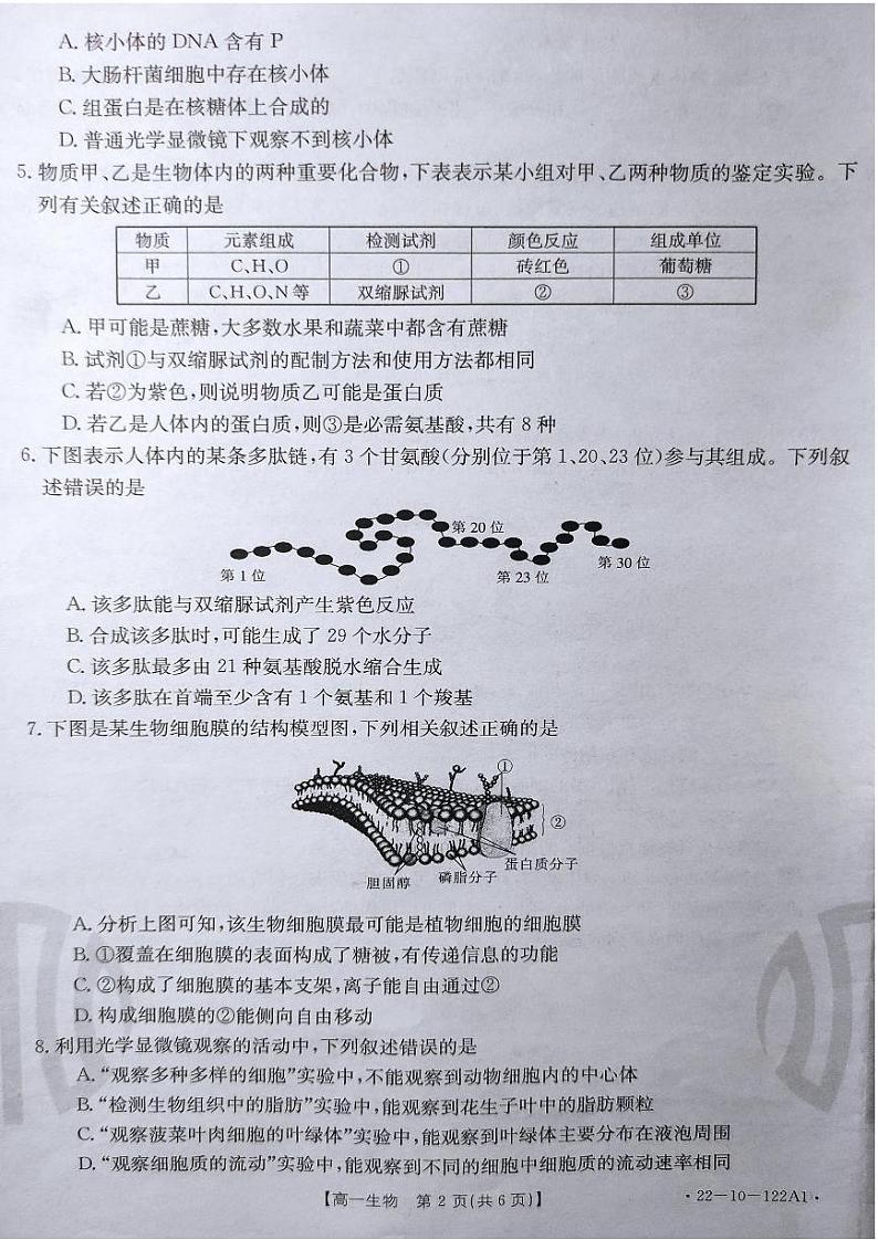 2022湖南省百所学校大联考高一上学期期中考试生物PDF版无答案第2页