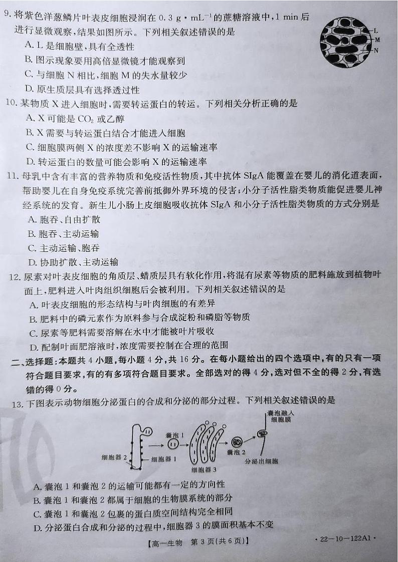 2022湖南省百所学校大联考高一上学期期中考试生物PDF版无答案第3页