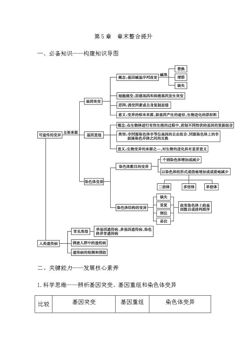 人教版高中生物必修2遗传与进化第5章基因突变及其他变异课时学案01