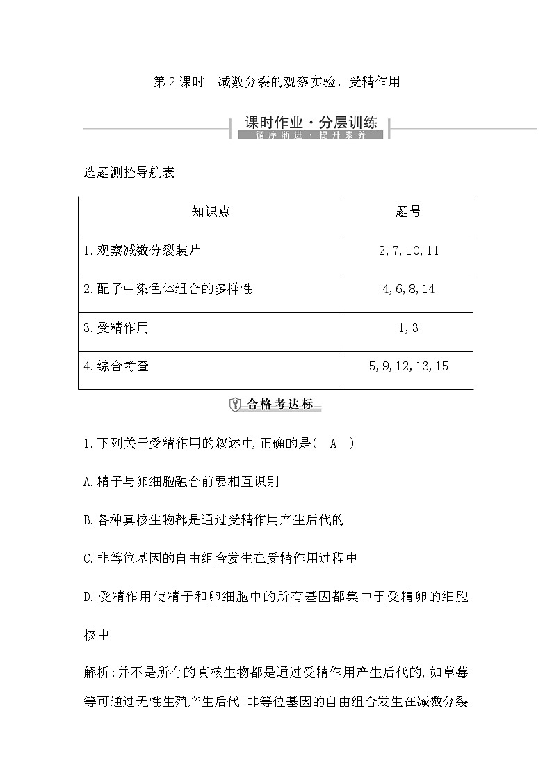 第2课时　减数分裂的观察实验、受精作用第1页