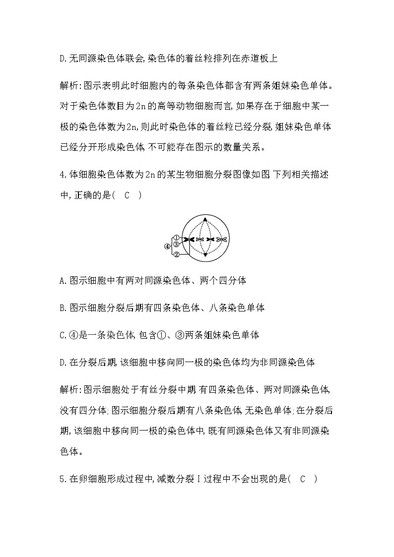 第1课时　减数分裂第3页