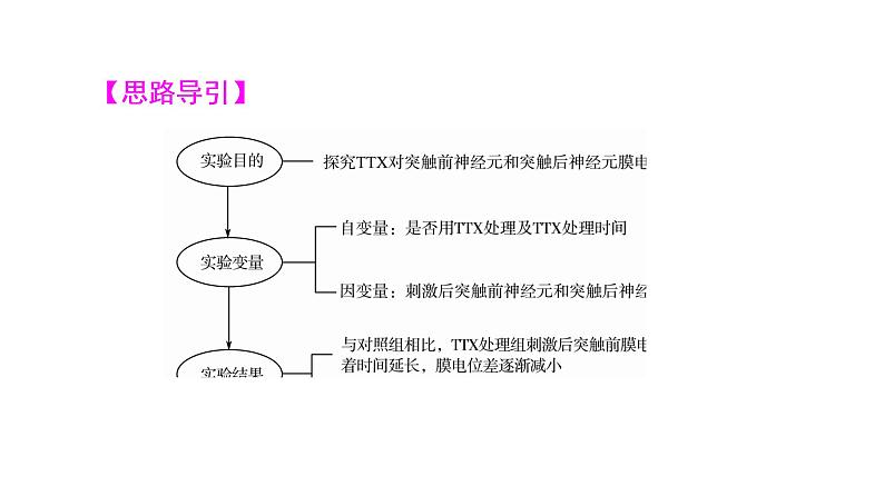 人教版高考生物一轮总复习选择性必修1第8单元实验探究系列6分析实验结果得出实验结论课件第8页