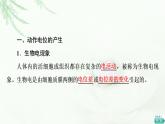 苏教版高中生物选择性必修1稳态与调节第1章第1节第2课时动作电位的产生和传导课件