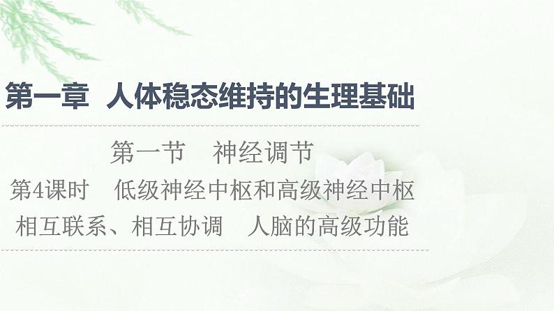 苏教版高中生物选择性必修1稳态与调节第1章第1节第4课时低级神经中枢和高级神经中枢相互联系、相互协调人脑的高级功能课件第1页