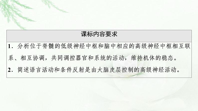 苏教版高中生物选择性必修1稳态与调节第1章第1节第4课时低级神经中枢和高级神经中枢相互联系、相互协调人脑的高级功能课件第2页