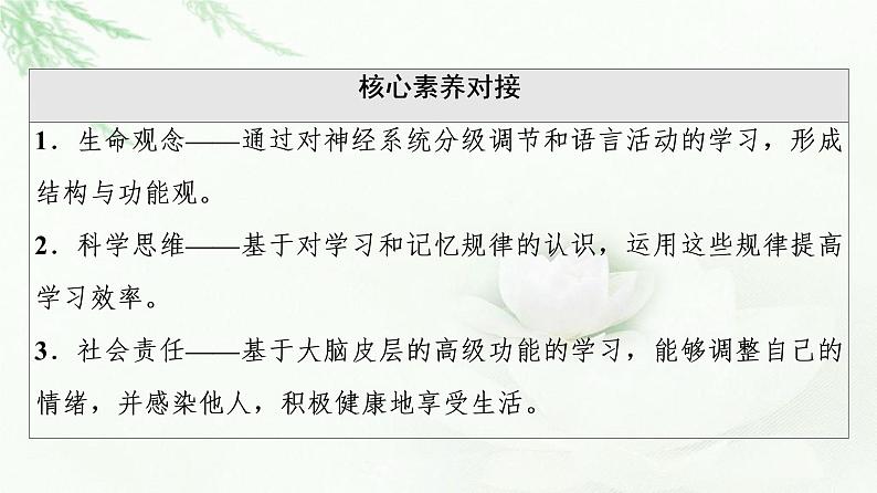 苏教版高中生物选择性必修1稳态与调节第1章第1节第4课时低级神经中枢和高级神经中枢相互联系、相互协调人脑的高级功能课件第3页