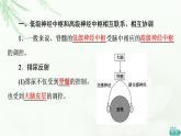 苏教版高中生物选择性必修1稳态与调节第1章第1节第4课时低级神经中枢和高级神经中枢相互联系、相互协调人脑的高级功能课件