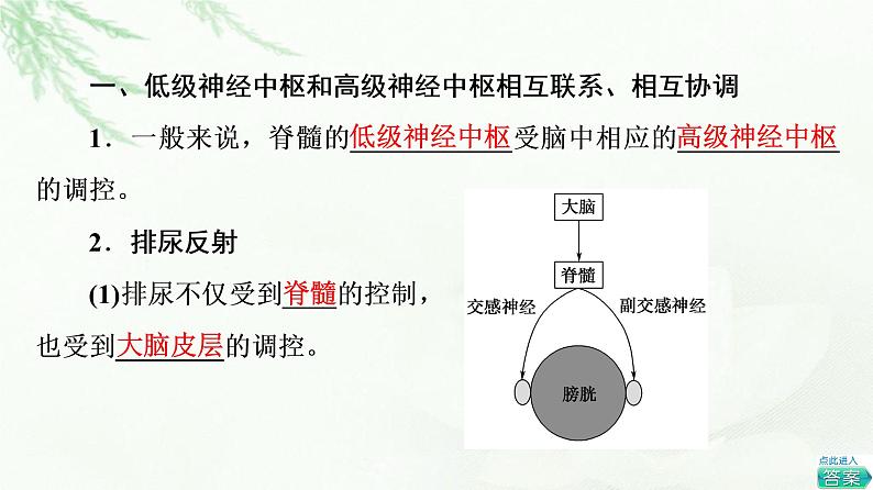 苏教版高中生物选择性必修1稳态与调节第1章第1节第4课时低级神经中枢和高级神经中枢相互联系、相互协调人脑的高级功能课件第5页