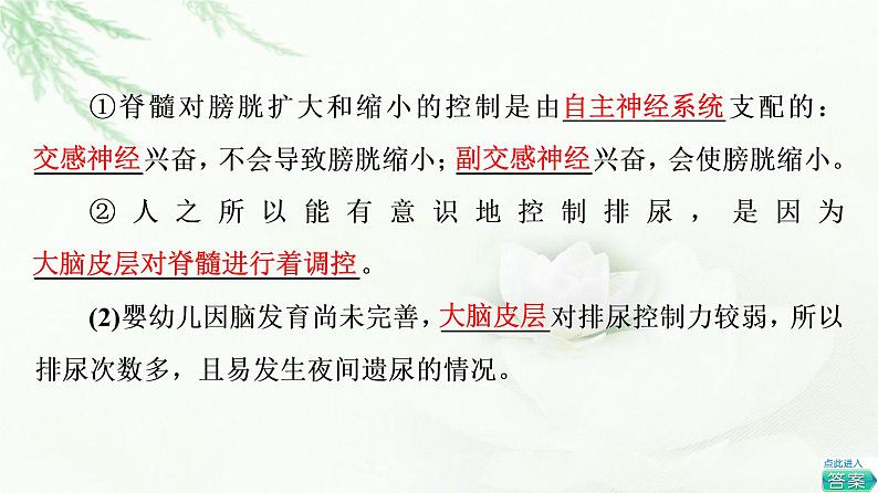 苏教版高中生物选择性必修1稳态与调节第1章第1节第4课时低级神经中枢和高级神经中枢相互联系、相互协调人脑的高级功能课件第6页