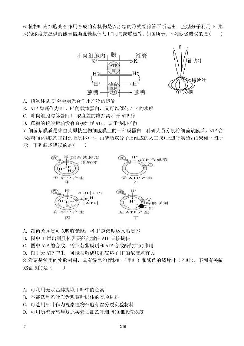 2023届辽宁省本溪市高级中学等六校高三上学期10月联合考试生物试卷（PDF版）第2页