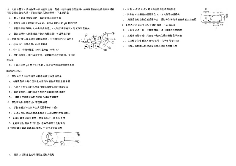 四川省成都市第九中学2022-2023学年高二上学期10月阶段性测试生物试题（Word版含答案）第3页