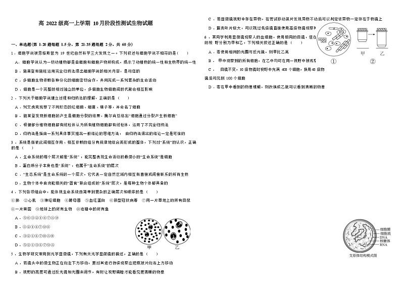 四川省成都市第九中学2022-2023学年高一上学期10月阶段性测试生物试题（Word版含答案）第1页
