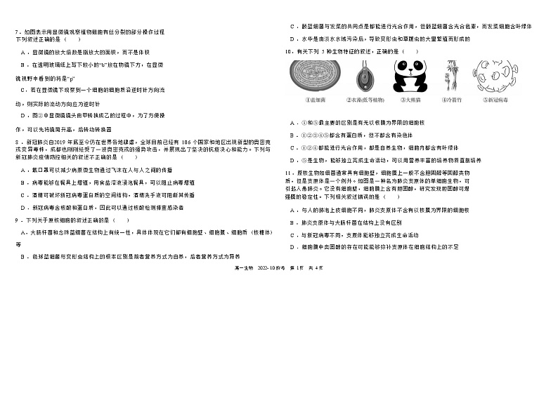 四川省成都市第九中学2022-2023学年高一上学期10月阶段性测试生物试题（Word版含答案）第2页